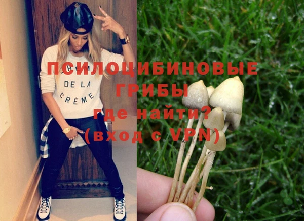 стафф Новокубанск