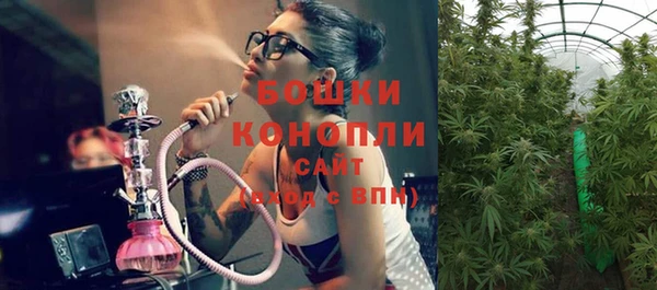 таблы Белокуриха