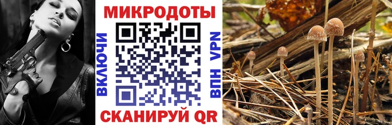 как найти закладки  Красноуральск  Галлюциногенные грибы Psilocybine cubensis 